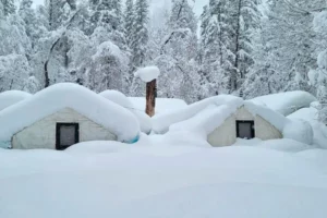 Snowfall in California vs Other States