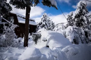 Snowy Wonders in California